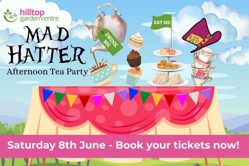 Hilltop's Mad Hatter Afternoon Tea Party