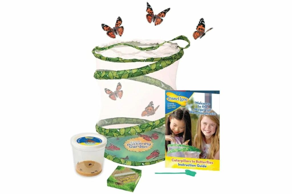 Children's educational kits at Hilltop Garden Centre in Essex