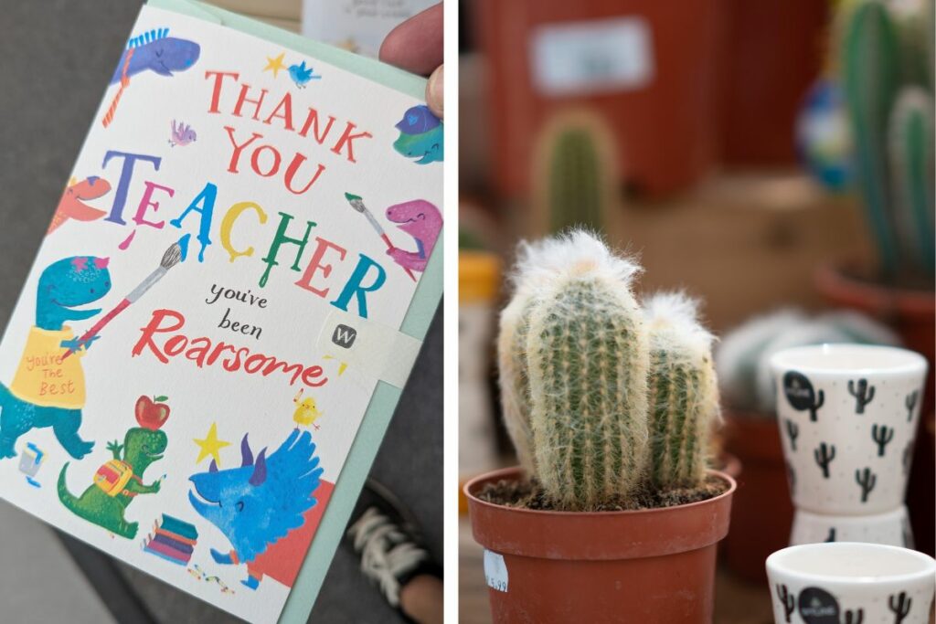 Cards and indoor plants at hilltop Garden Centre Clacton