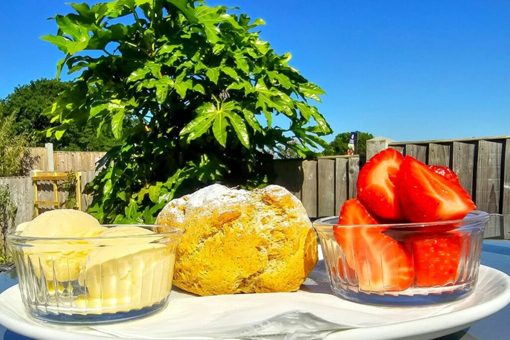 Fresh scone with strawberries and ice cream at Hilltop Garden Centre