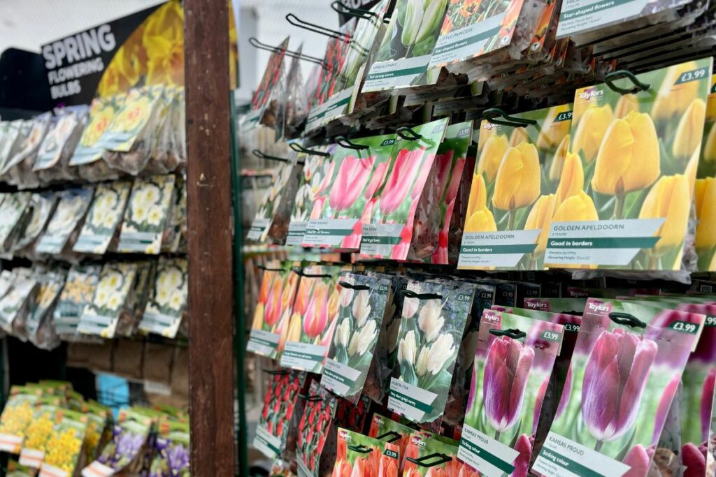 Spring Bulbs at Hilltop Garden Centre Essex