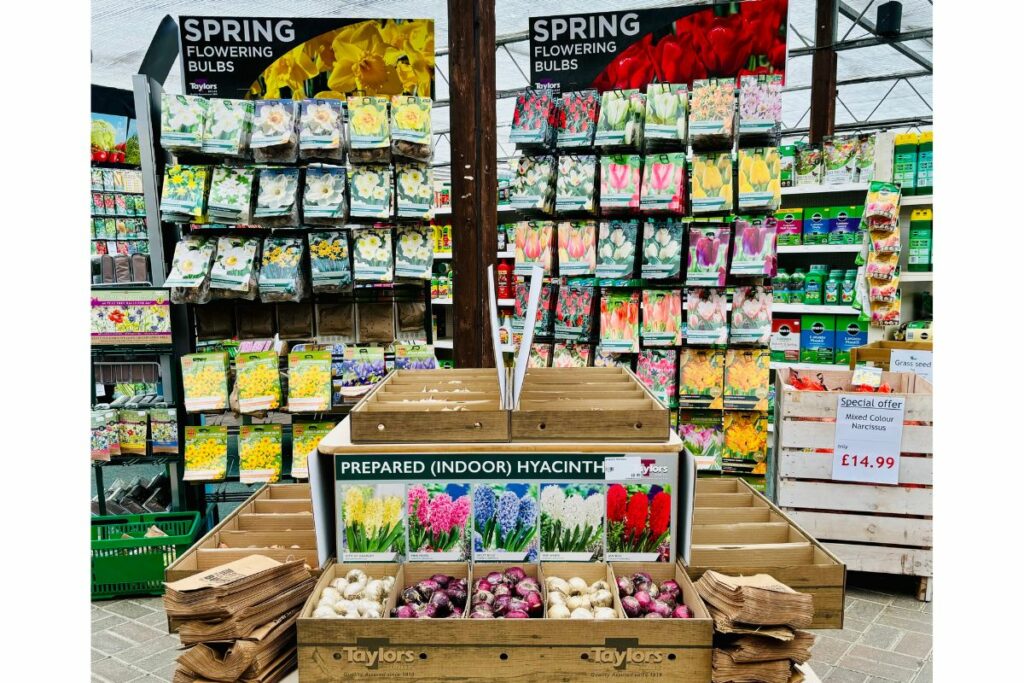 Spring bulbs at Hilltop Garden Centre Essex