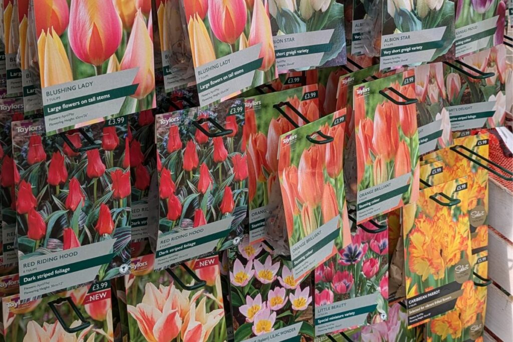 Spring bulbs at Hilltop Garden Centre Essex