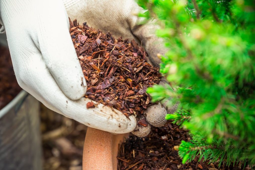 Mulch at Hilltop Garden Centre Clacton