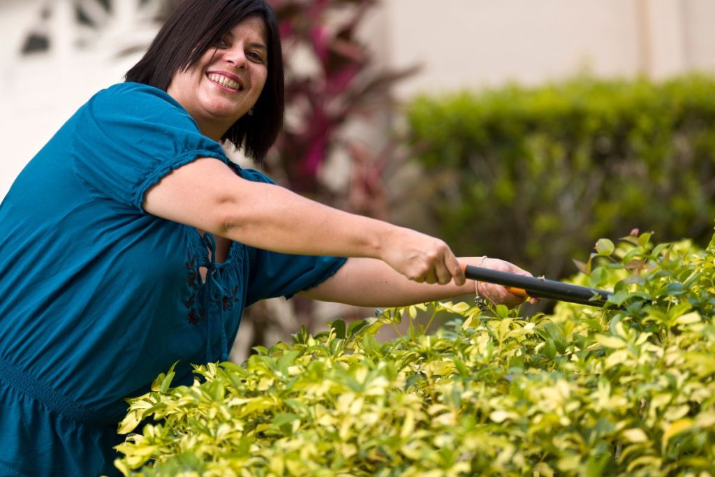 Gardening tips from Hilltop Garden Centre Essex