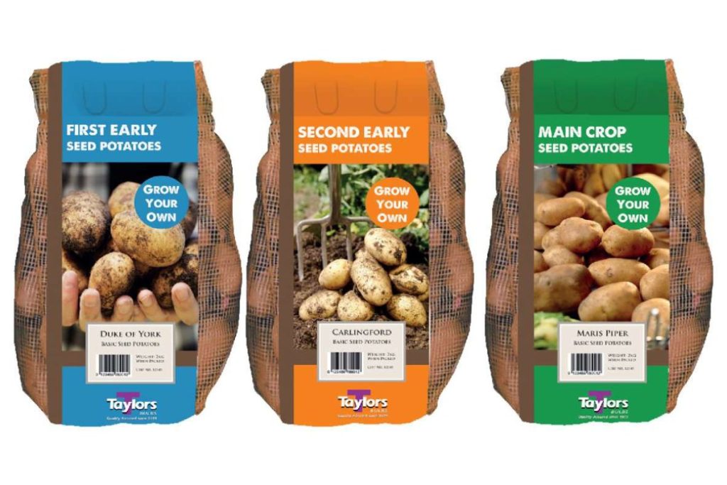 Seed potatoes at Hilltop Garden Centre Essex