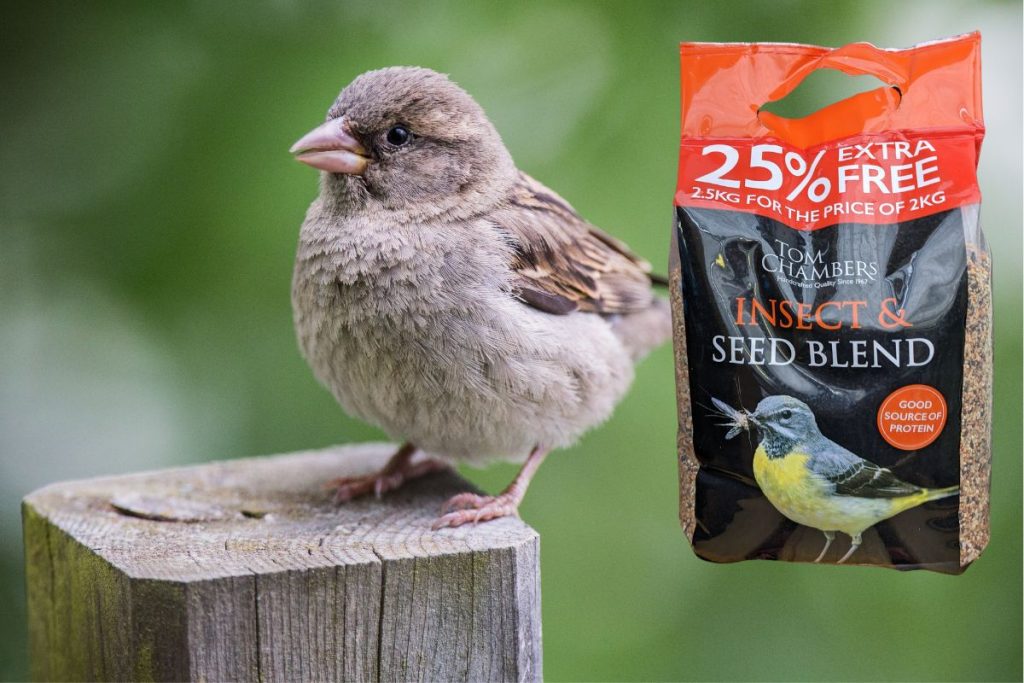 Bird food at Hilltop Garden Centre Essex