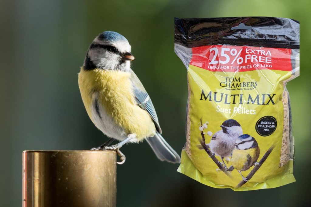 Bird food at Hilltop Garden Centre Essex