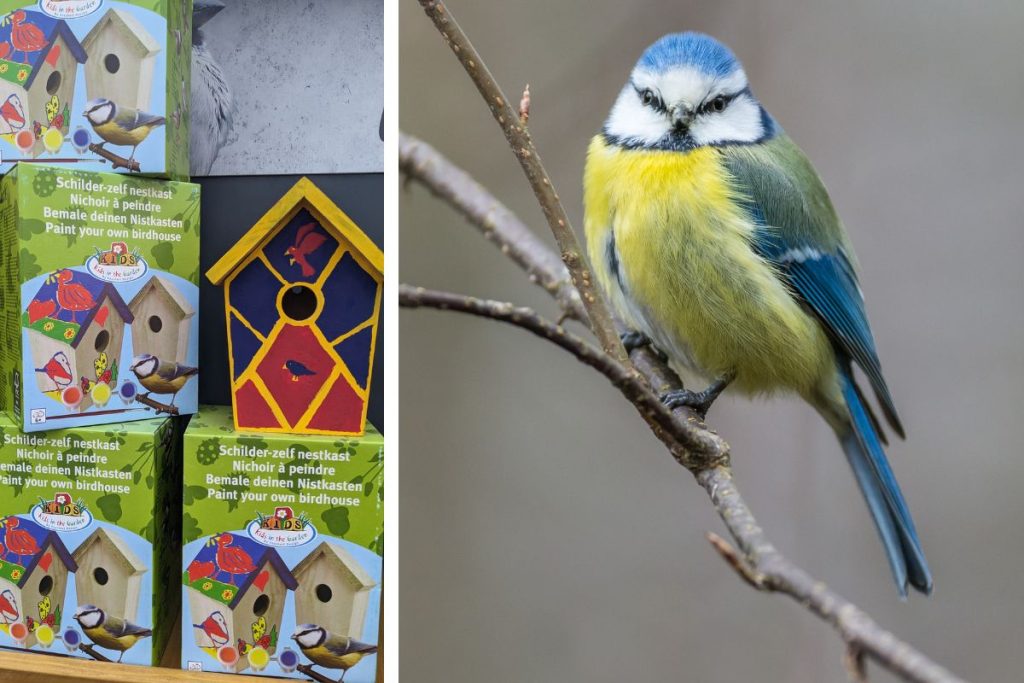 Bird Boxes at Hilltop Garden Centre Essex