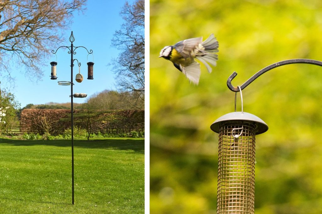 Bird Feeding Station at Hilltop Garden Centre Essex