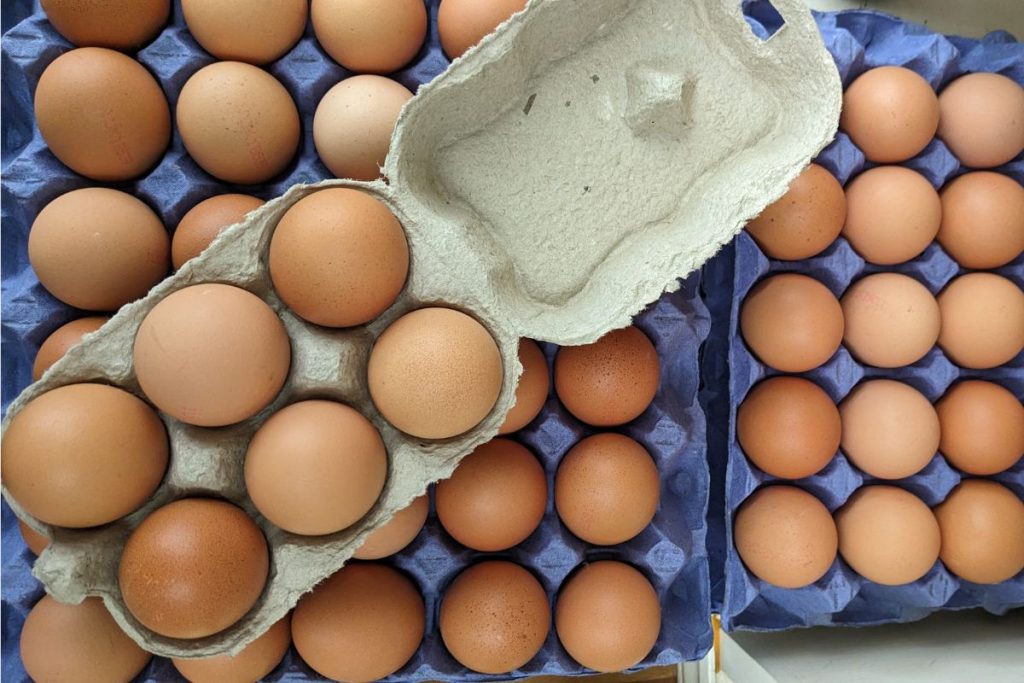 Free range eggs from Hilltop Garden Centre Essex