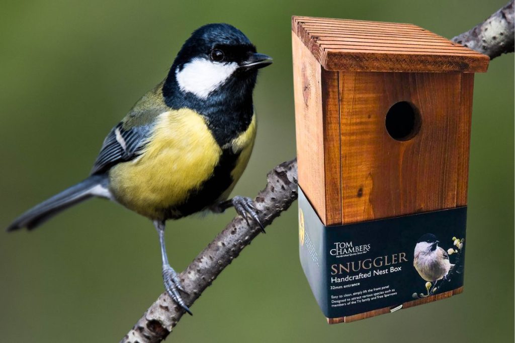 Bird boxes at Hilltop Garden Centre Clacton