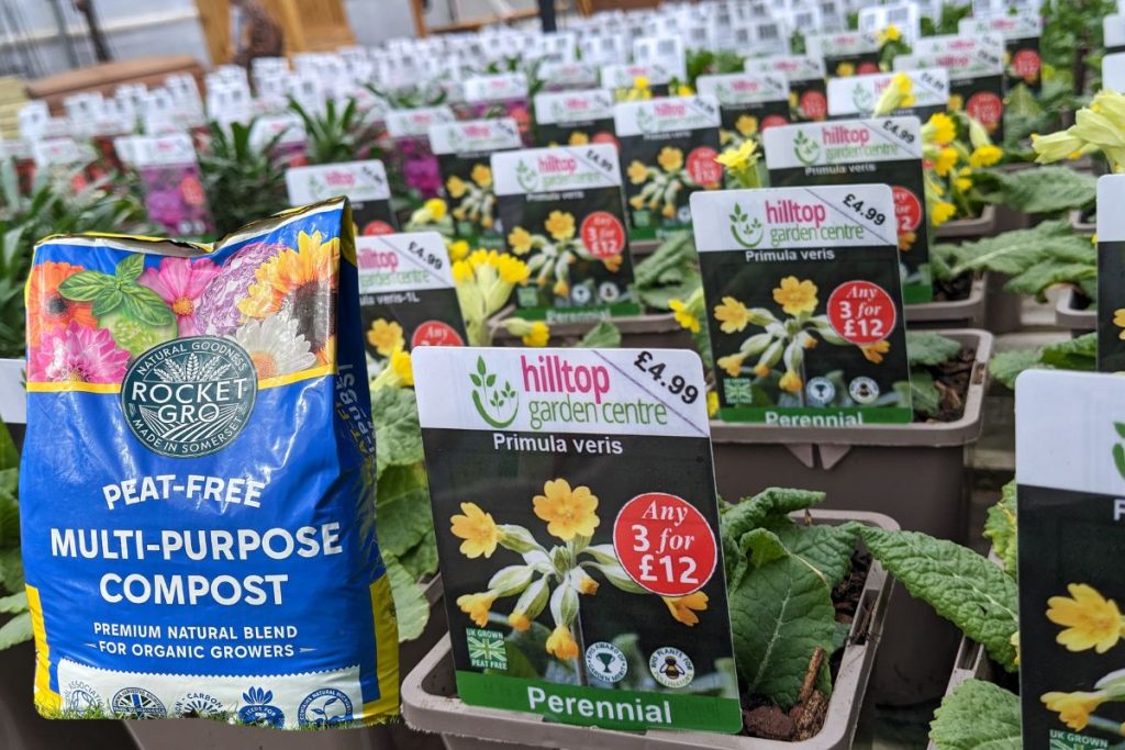 Perennials at Hilltop Garden Centre Essex