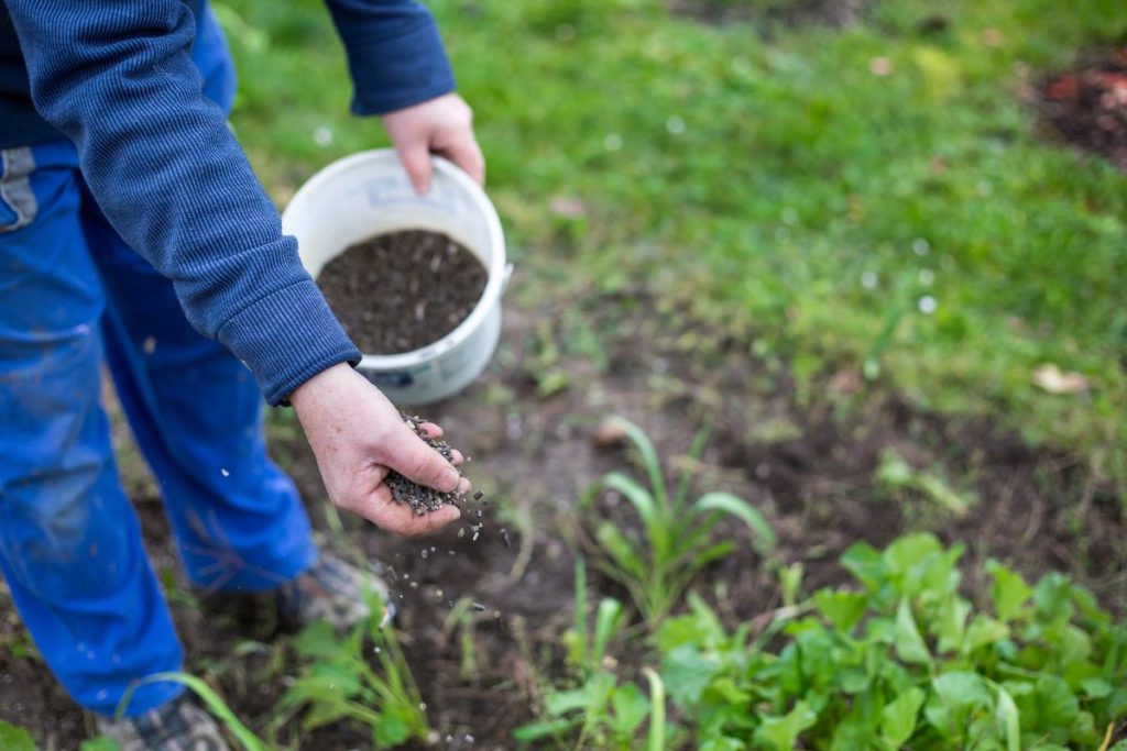 Fertiliser Gardening tips at Hilltop Garden Centre Essex