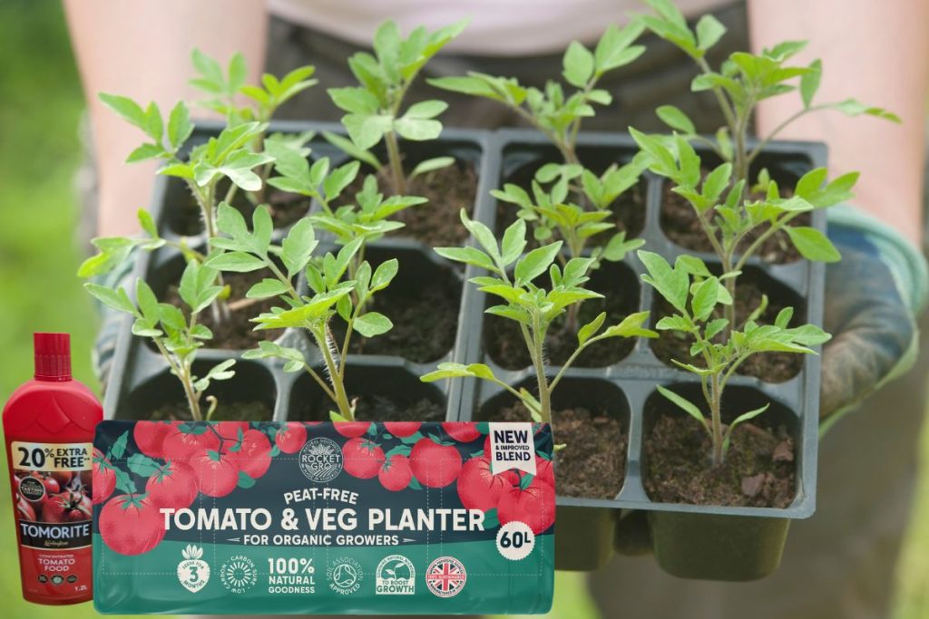 Grow your. own veg at Hilltop Garden Centre Clacton
