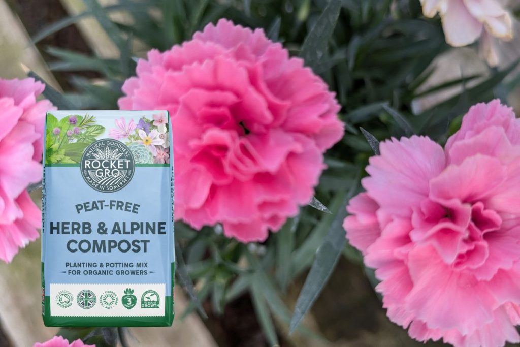 Rewards Club offer at Hilltop Garden Centre Essex