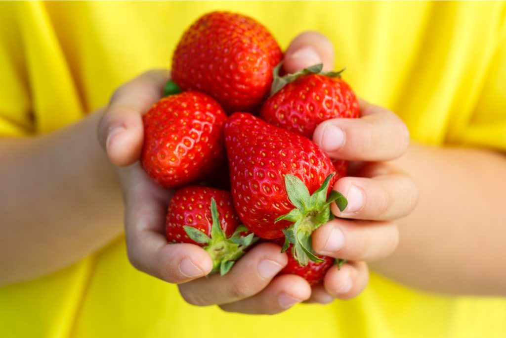 Kids gardening activities at Hilltop Garden Centre Essex