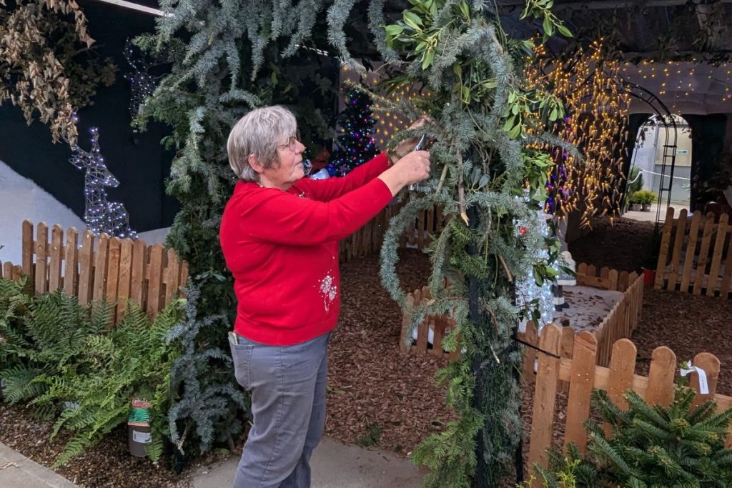 Workshops at Hilltop Garden Centre Clacton