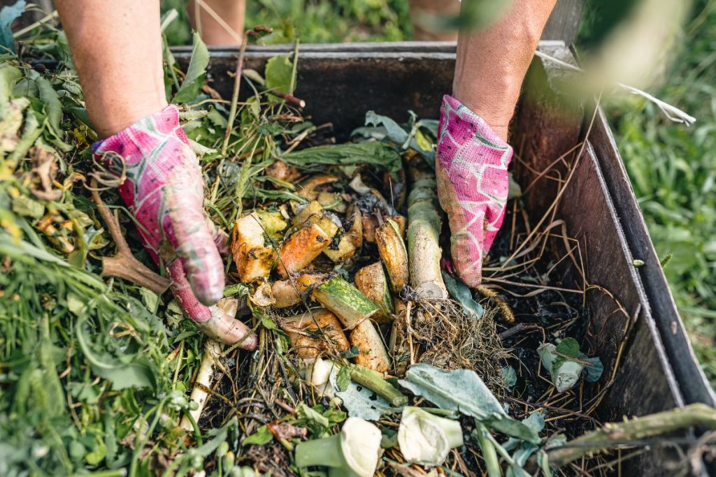 Workshops at Hilltop Garden Centre Clacton