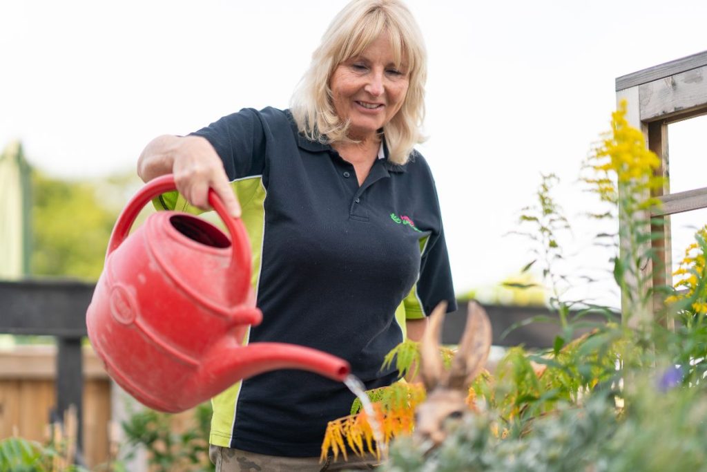 Gardening tips from Hilltop Garden Centre Clacton