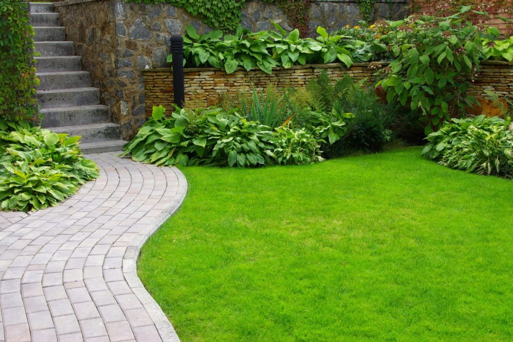 Gardening tips at Hilltop Garden Centre Essex