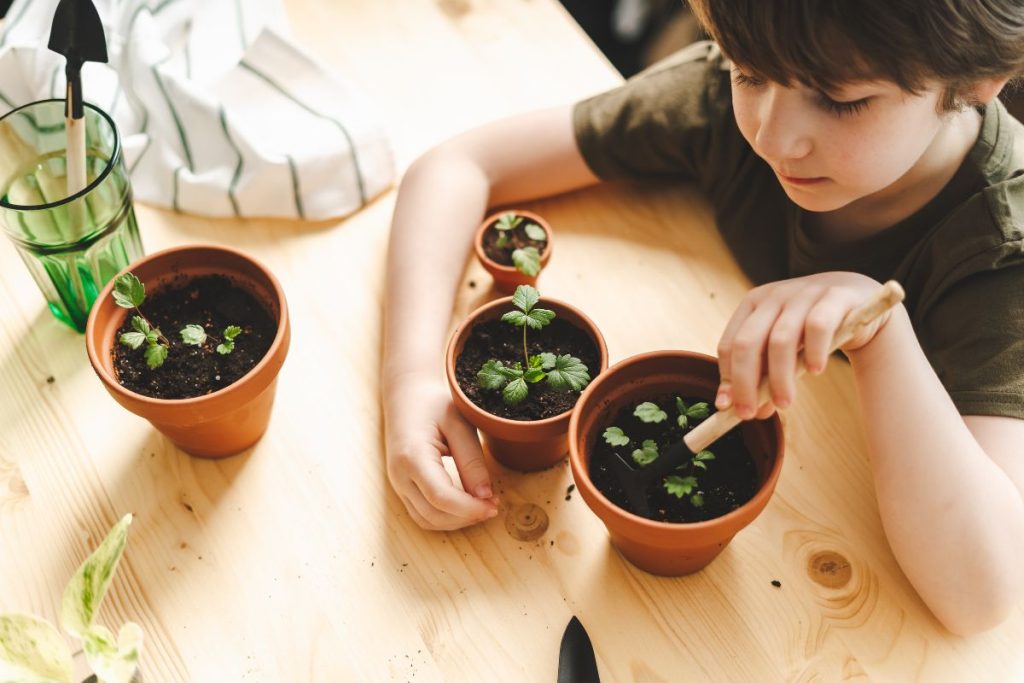 Family friendly Gardening tips at Hilltop Garden Centre Essex