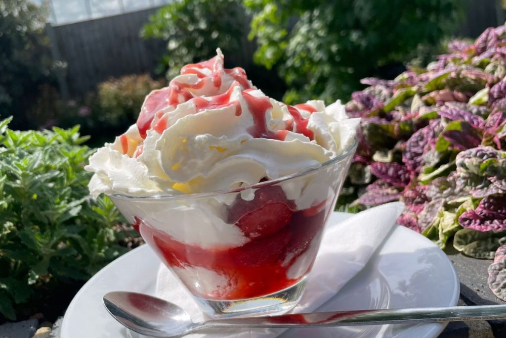 Garden centre with a cafe in Clacton Essex