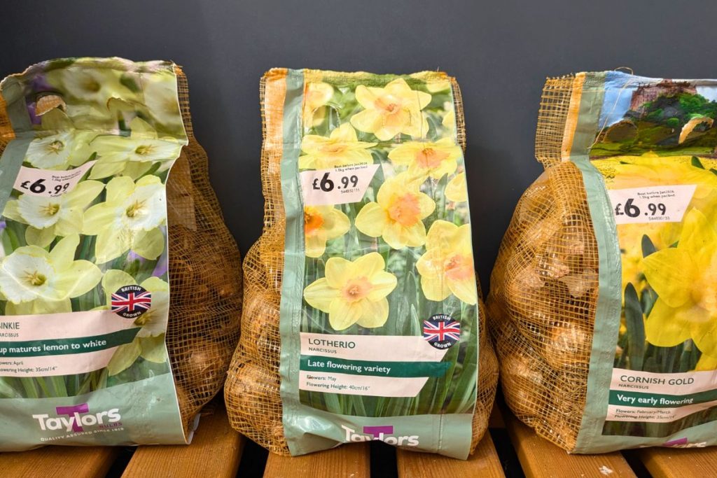 Spring bulbs at Hilltop Garden Centre Clacton